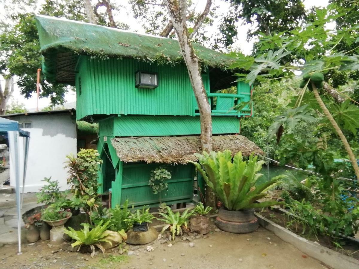 Nature Green Forest Resort Baler Exterior photo